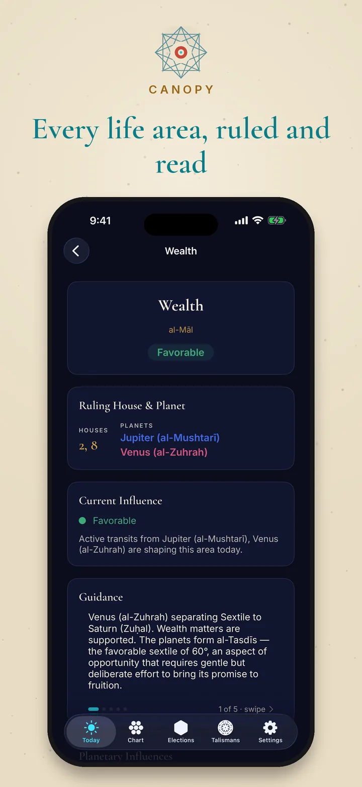 A detailed wealth reading in dark mode