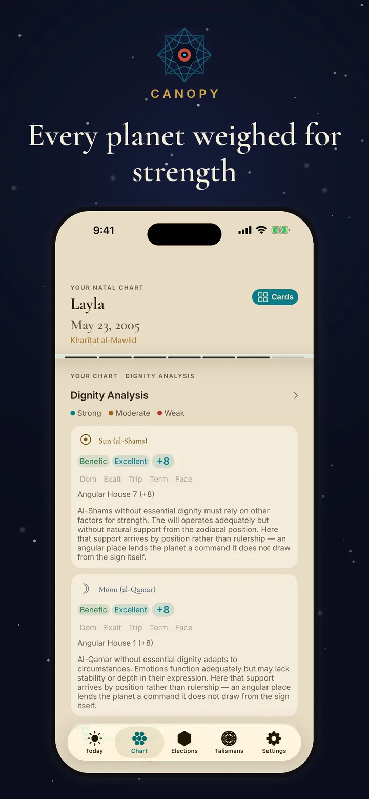 Essential dignity analysis in a Canopy natal chart